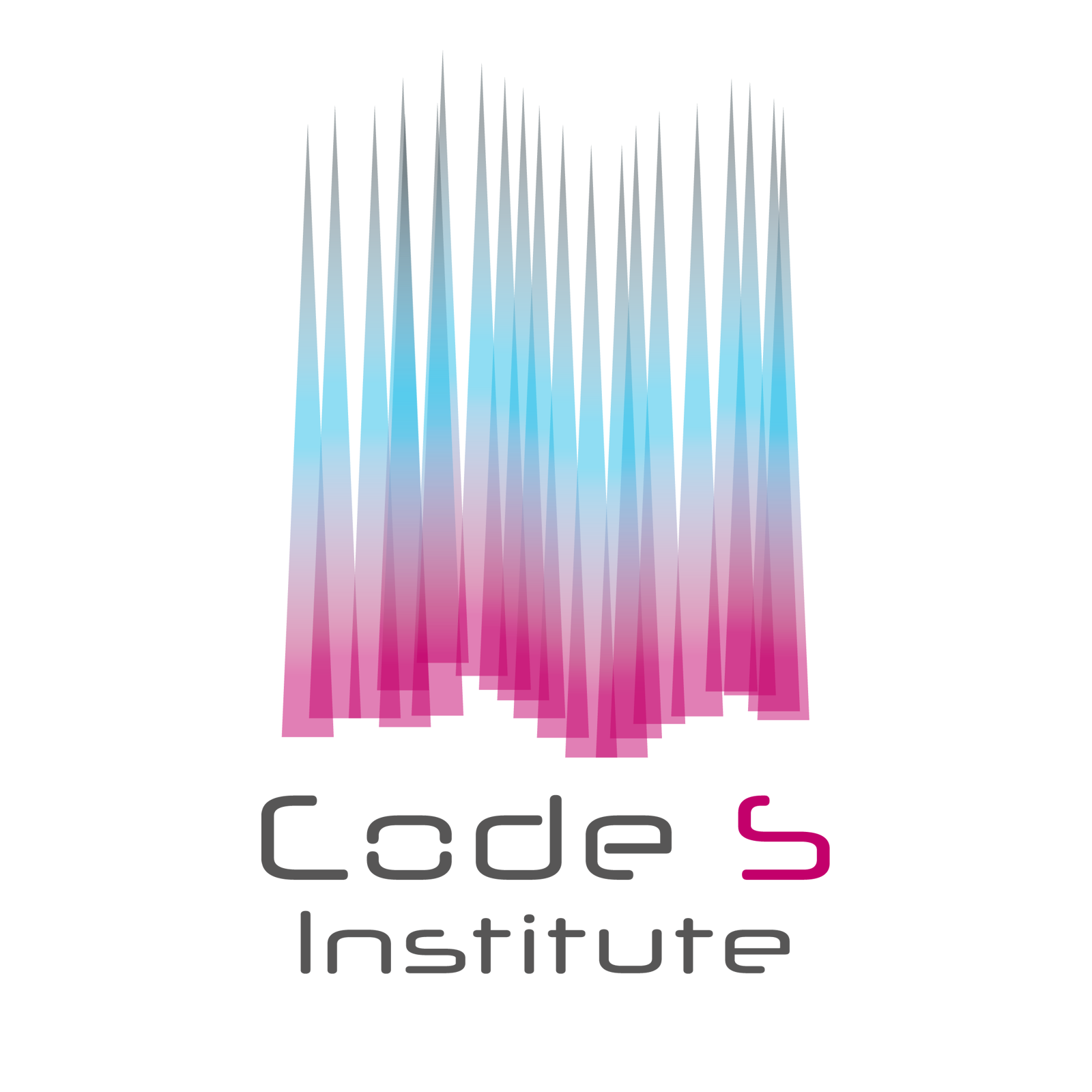 Code S Institute